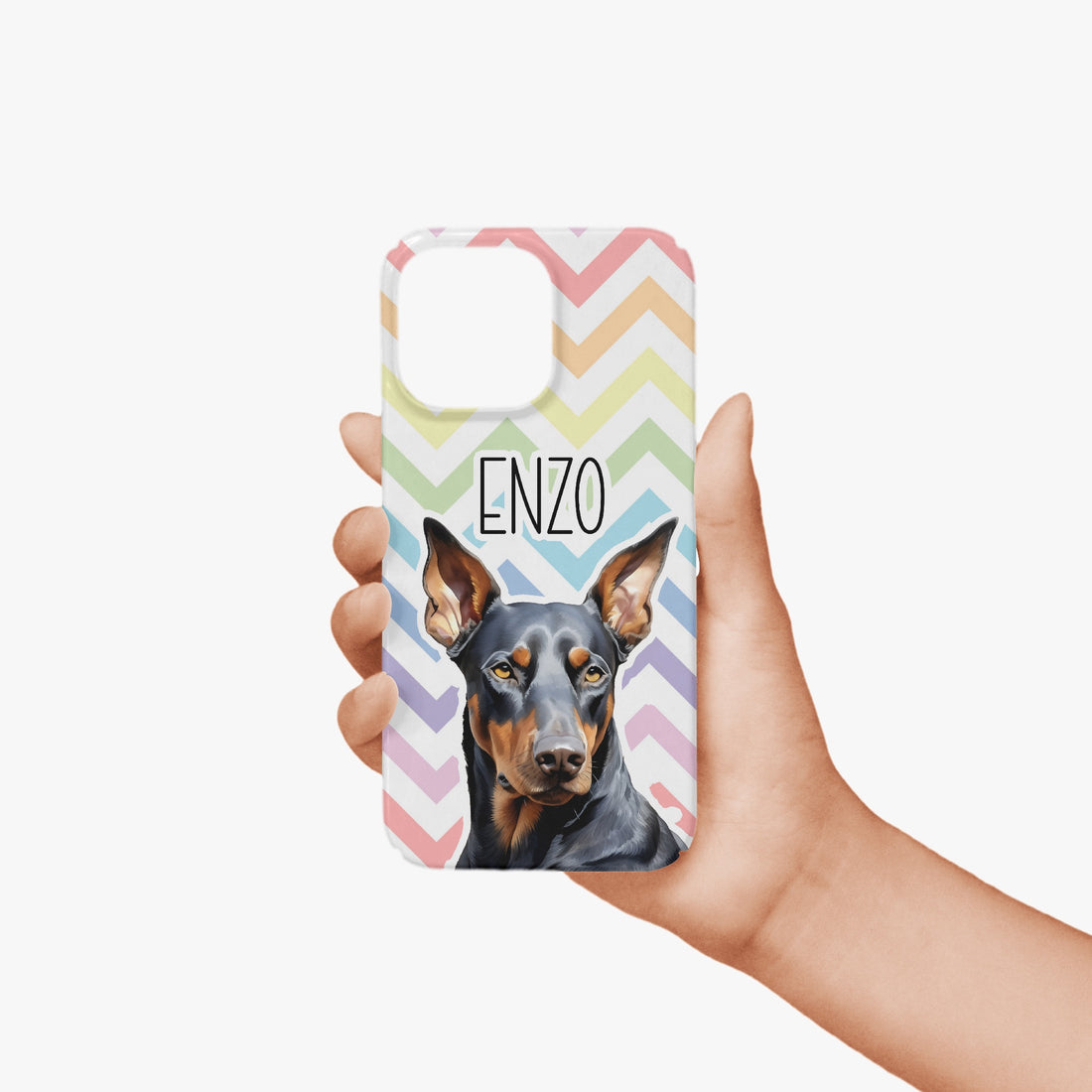 Doberman Dog Name Pastel Zig Zag Rainbow Case